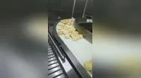 Hairise Food Grade Modular Belt Conveyor System with ISO